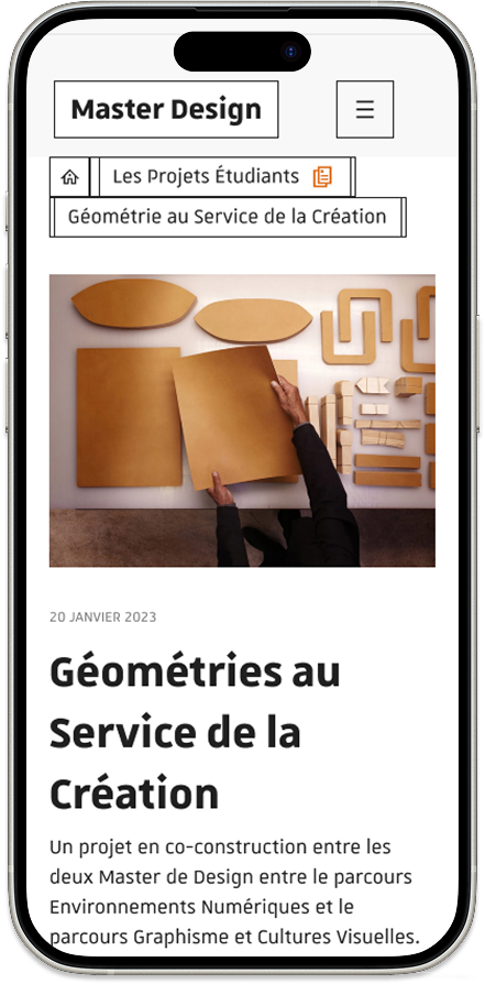 Project 2 - Art Direction mobile interface